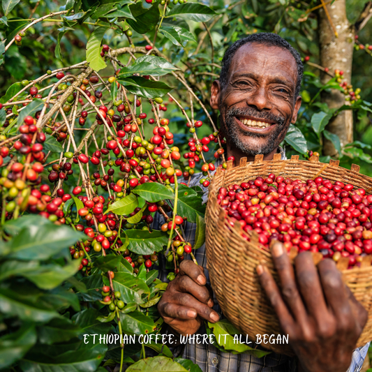 The Unstoppable Journey of Coffee: From Ethiopian Highlands to Global Phenomenon