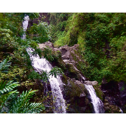 blue mountain jamaican coffee farm water fall