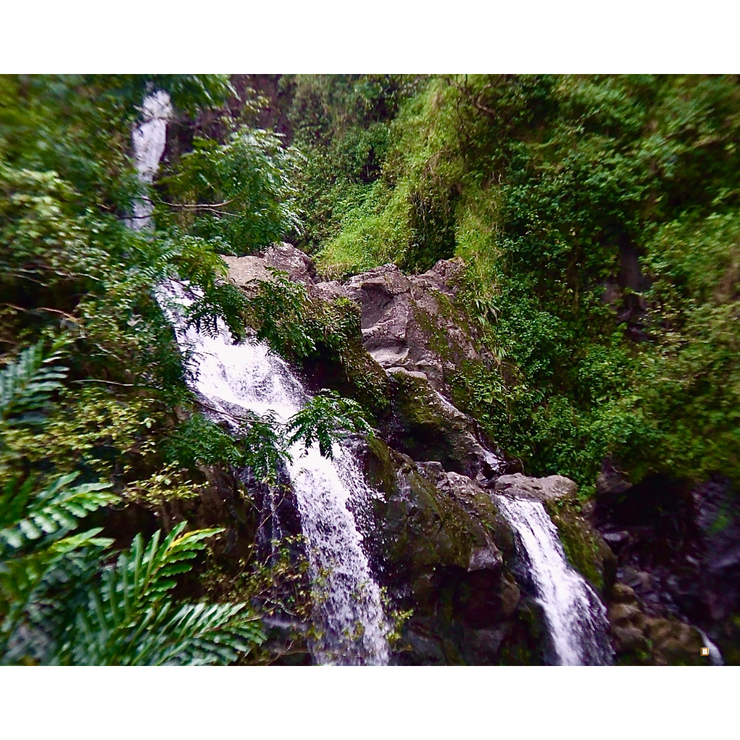 blue mountain jamaican coffee water falls