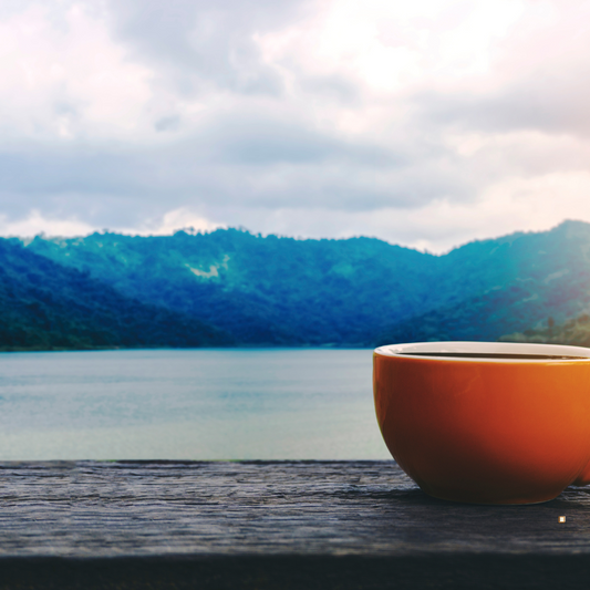 blue mountain jamaican coffee water view