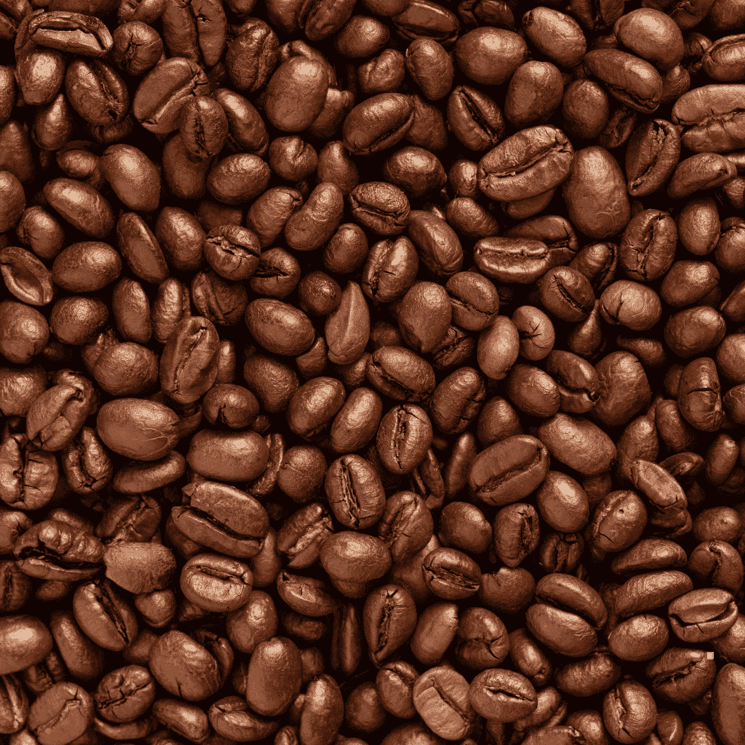fresh roasted brazilian santos coffee beans