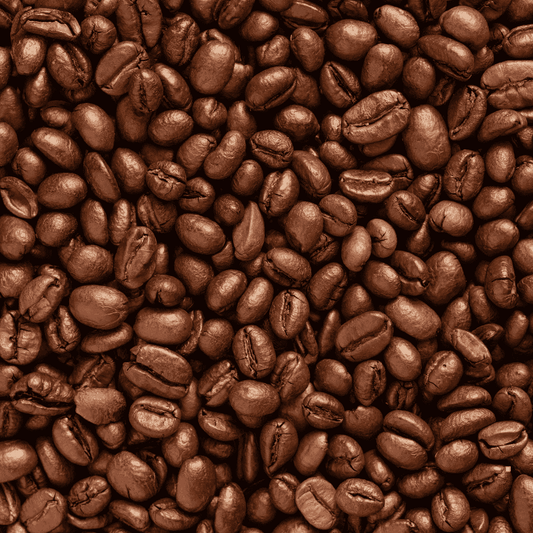 fresh roasted brazilian santos coffee beans
