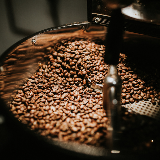 brazilian santos coffee beans in roaster cooling bin