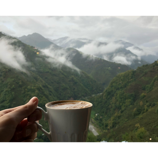 brewed blue mountain jamaican coffee farm view with clouds