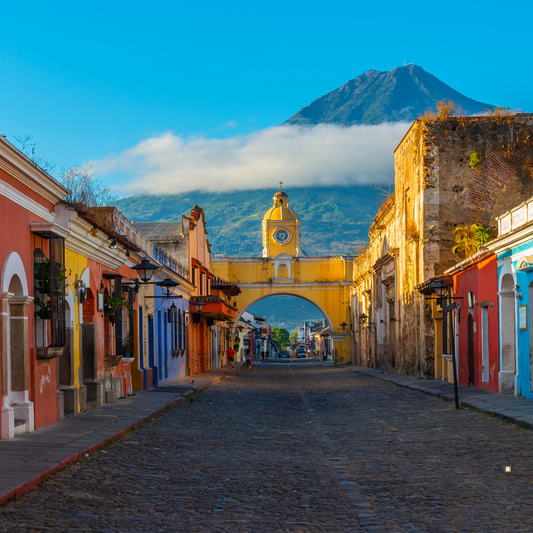 businesses serving guatemal huehuetenango coffee