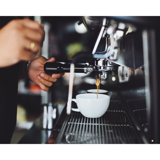 coffee pod subscription all year long