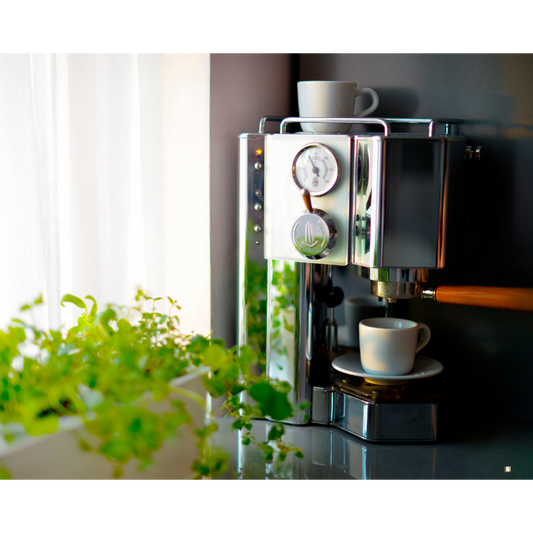 coffee pod subscription cup being filled