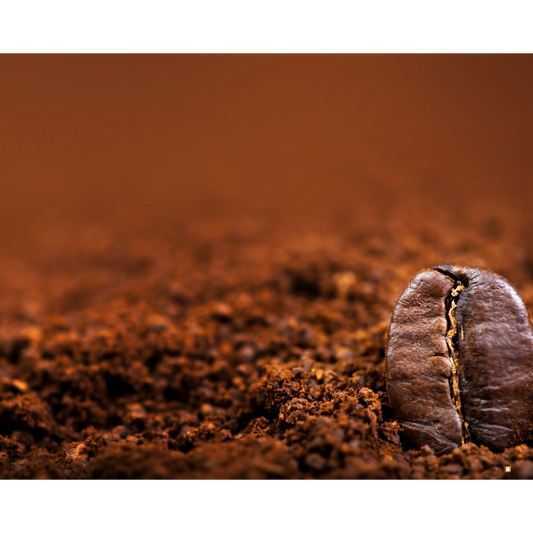 decaf ground coffee grounds and single coffee bean