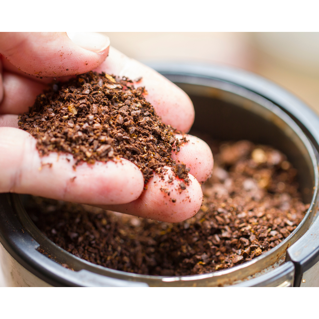 decaf ground coffee through his fingers