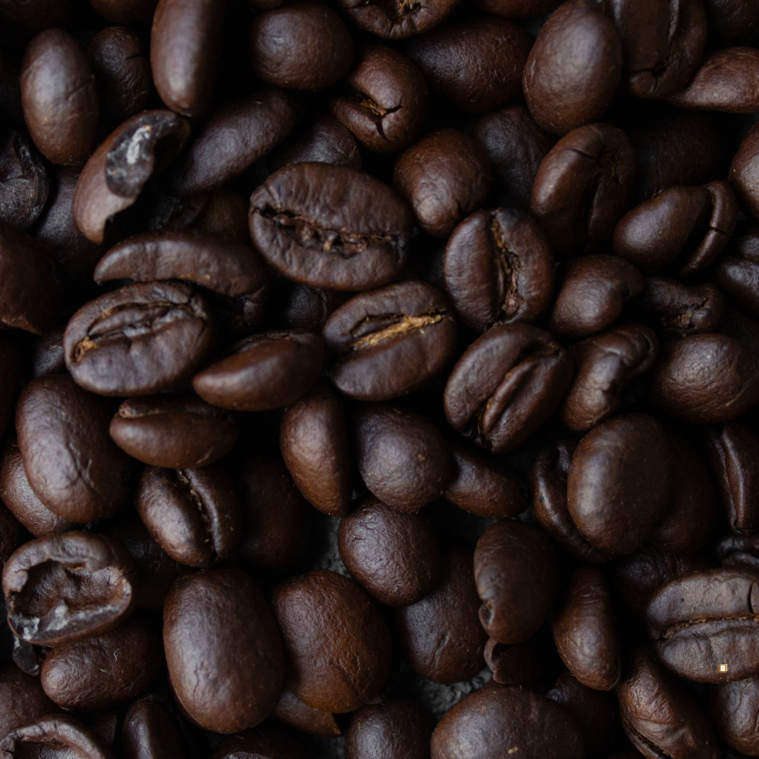 fresh roasted mexican chiapas coffee beans