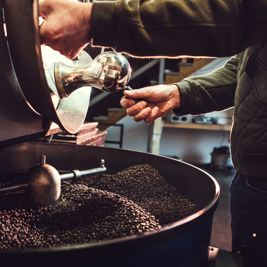 fresh roasted small batch coffee beans cooling