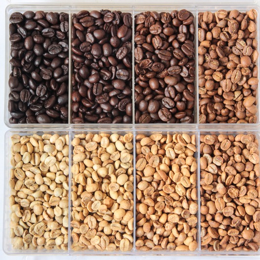 light roast coffee bean spectrum