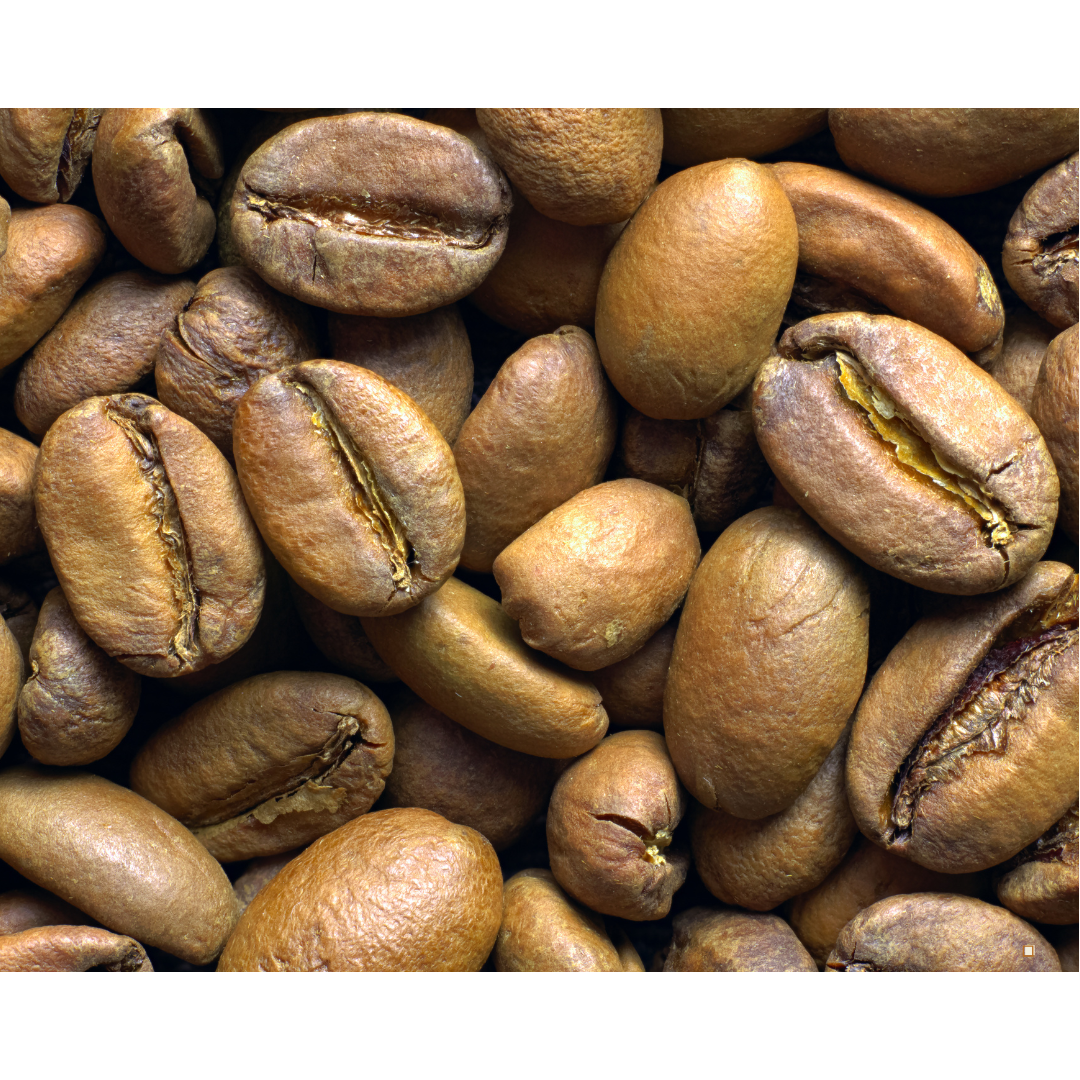 light roast coffee beans closer up
