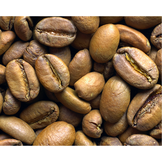 light roast coffee beans closer up