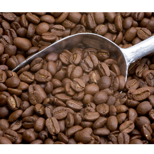light roast coffee beans in a stainless steel scoop