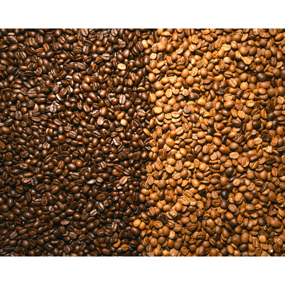 light roast coffee beans with dark roast beans side by side
