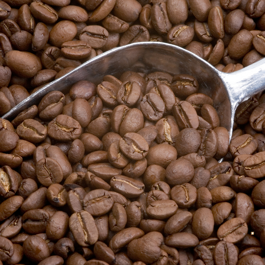 light roast coffee beans with metal scoop