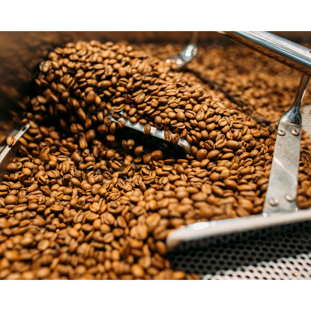 light roast coffee roasted beans in cooling bin