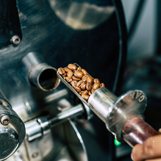 small batch coffee roaster sample portal