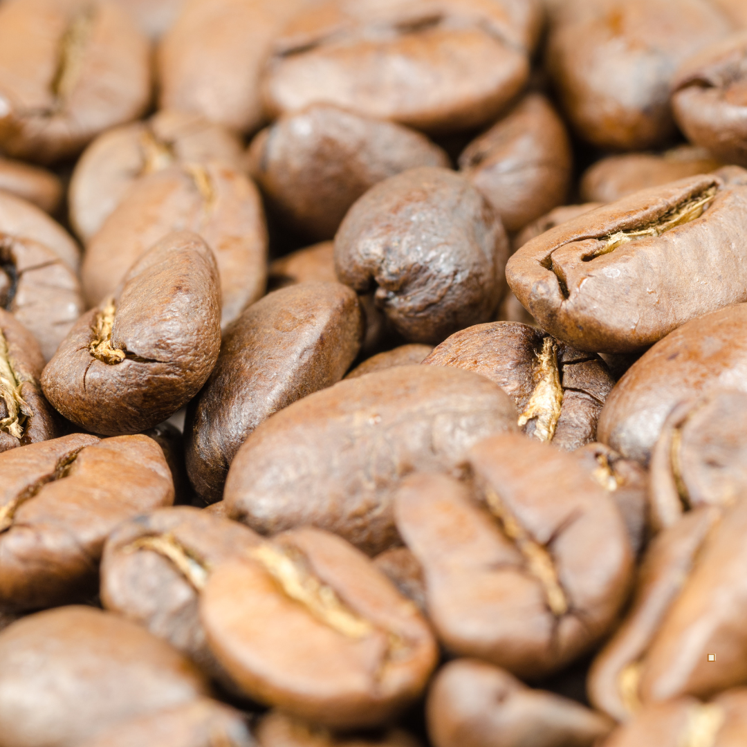 small batch light roast coffee beans