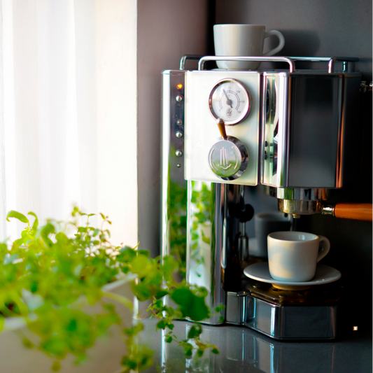 tanzanian peaberrry coffee home coffee bar