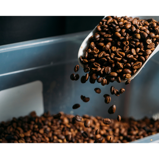 whole bean decaf coffee beans and aluminum scoop