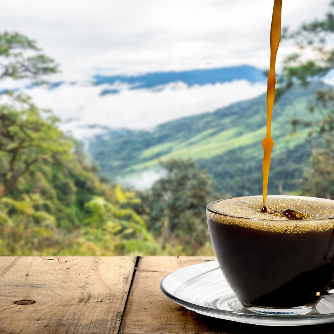 The History of Blue Mountain Jamaican Coffee: From the Slopes of Jamaica to Your Cup