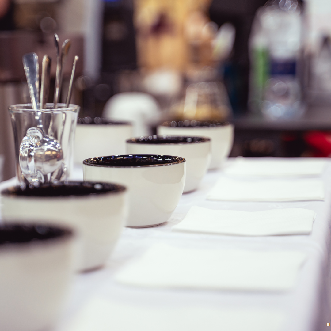 Tasting event with blue mountain jamaican coffee