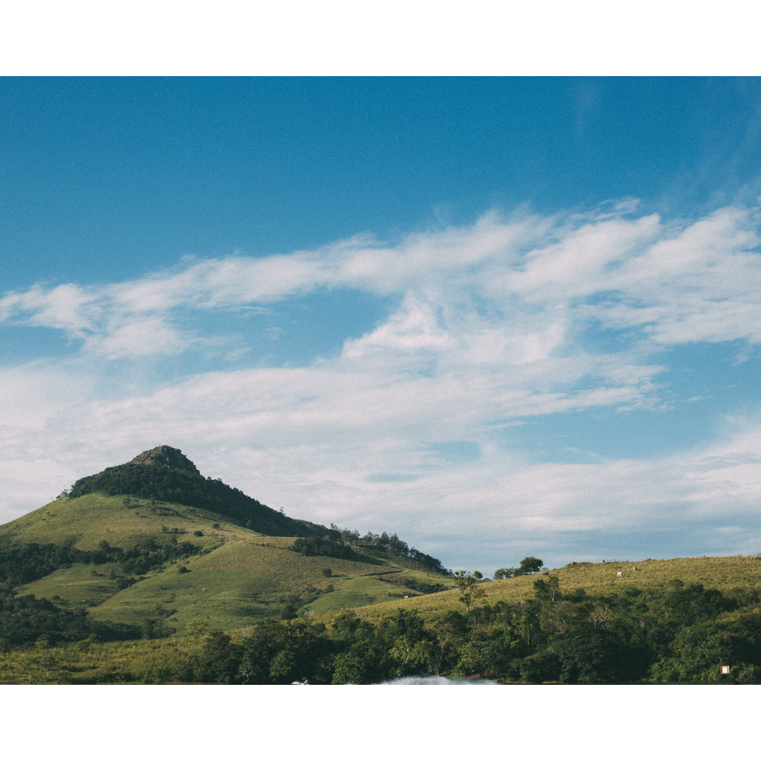 blue mountain jamaican coffee farm and blue sky with clouds