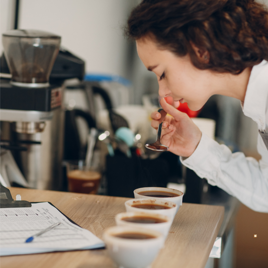 blue mountain jamaican coffee tasting