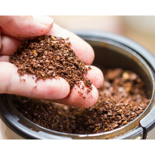 decaf ground coffee grounds in someones fingers