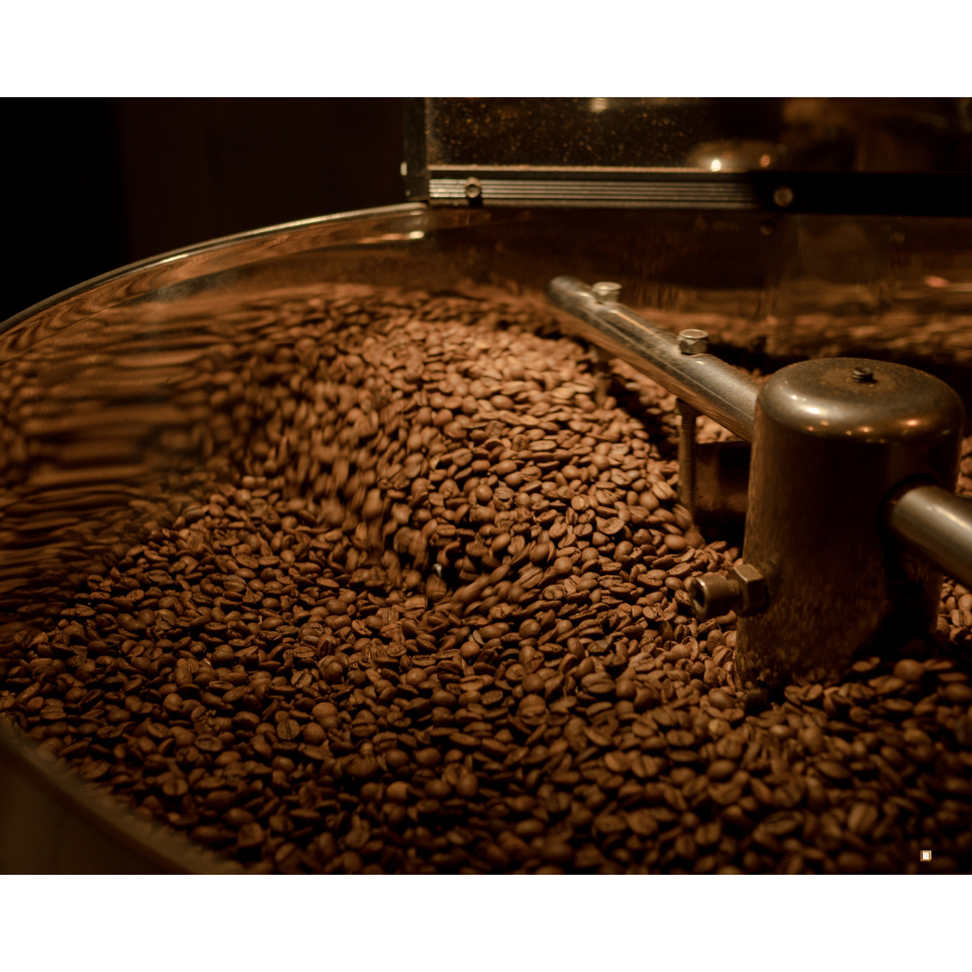 fresh roasted small batch coffee beans in roaster cooling bin