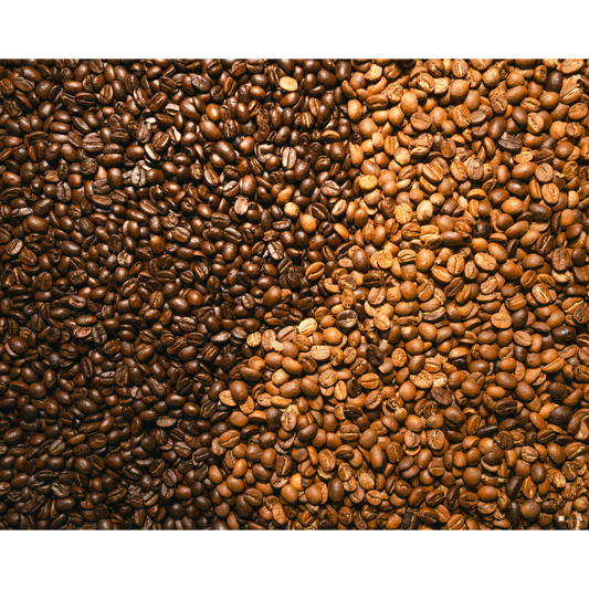 light roast coffee beans and medium roast