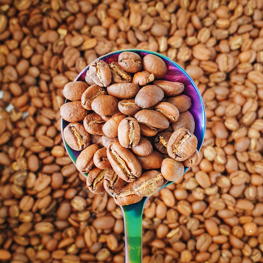 light roast coffee bean scoop