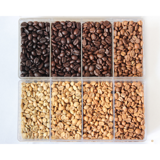 light roast coffee bean spectrum