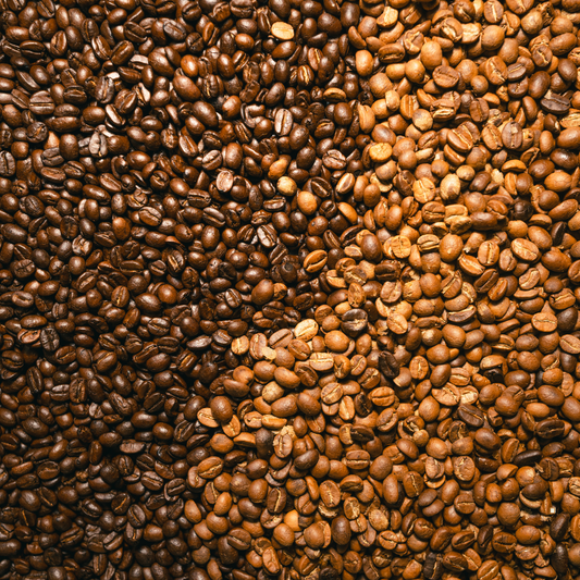 light roast coffee beans contrasted with dark roast coffee beans