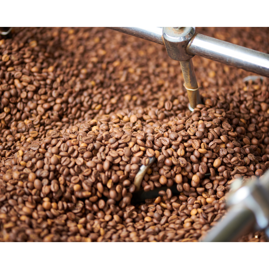 light roast coffee beans in a roaster cooling bin