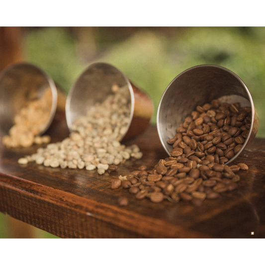 light roast coffee beans on wooden table