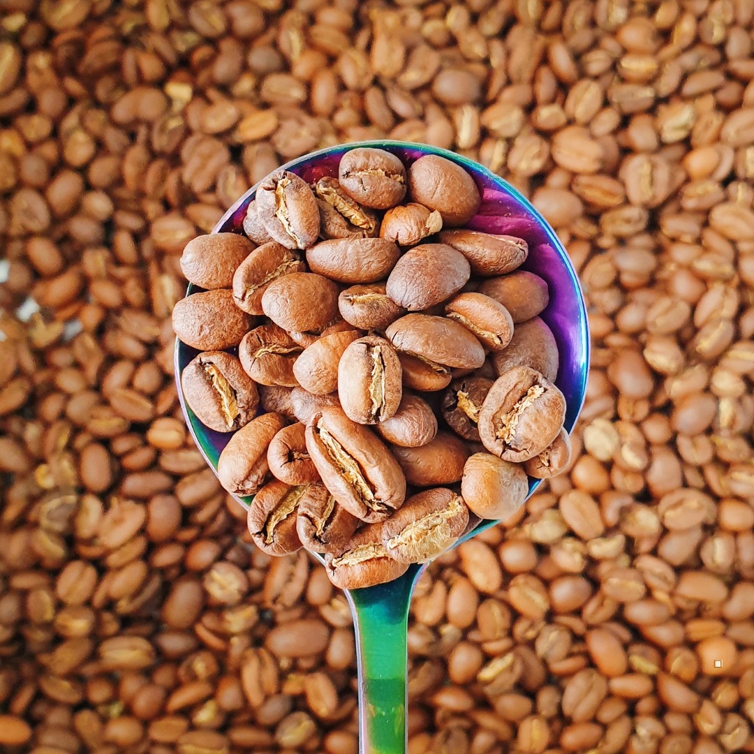 small batch light roast coffee beans in a stainless steel scoop