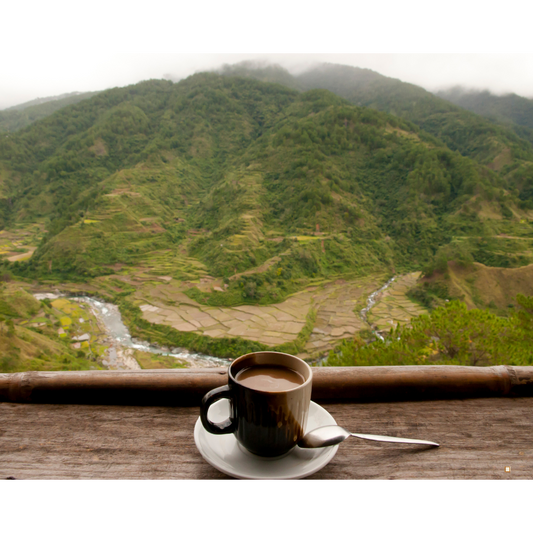 view of blue mountain jamaican coffee farms