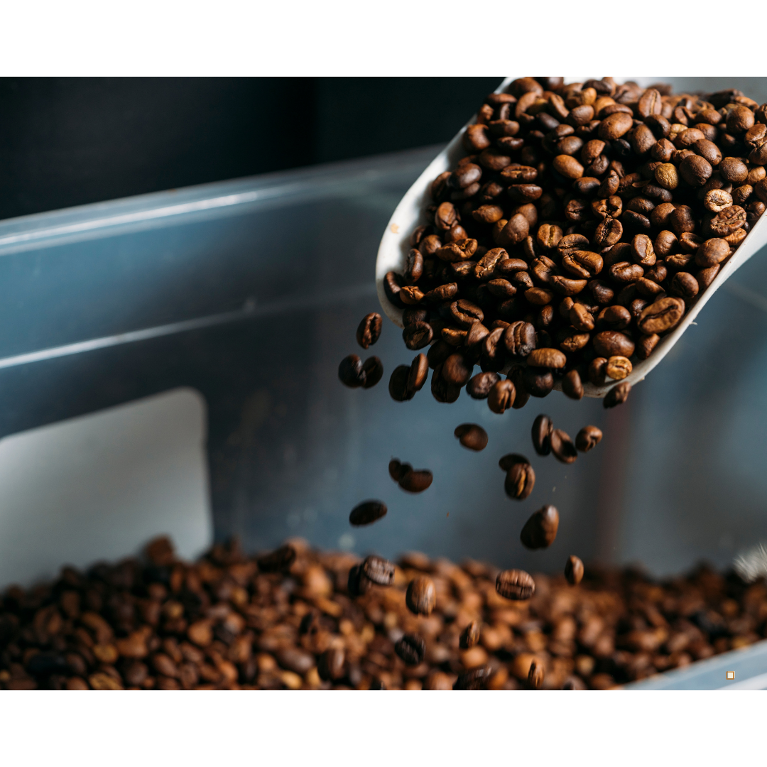 whole bean decaf coffee beans in a scoop