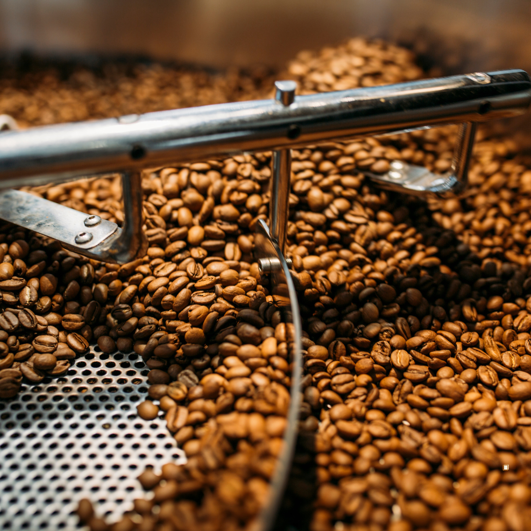 whole bean decaf coffee in roaster cooling bin
