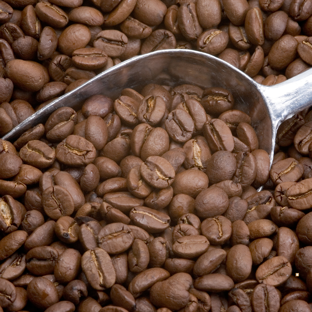 Brazilian Santos Coffee Beans with metal scoop