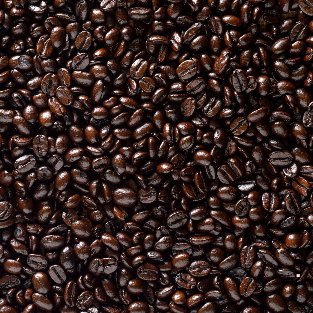 fresh small batch roasted honduras coffee beans