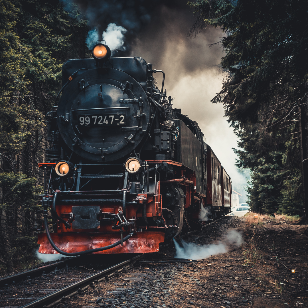 steam train going through forest